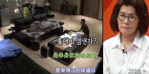 XXXHD国产,崛起中的科技与创新强国